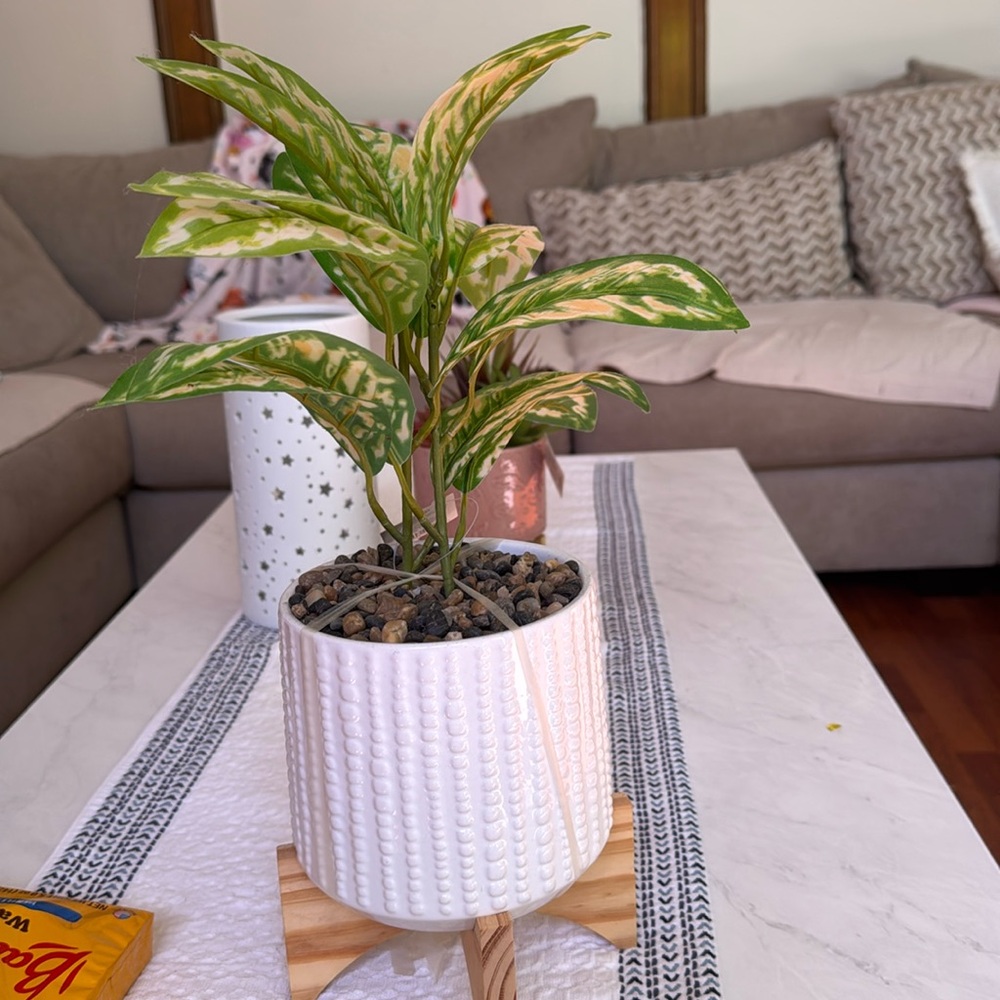 So looking good faux plant